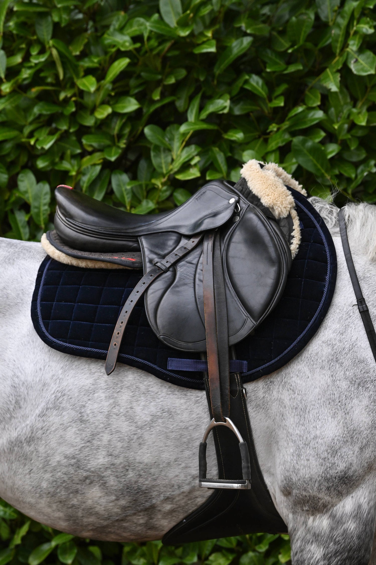 The Urbany Equine