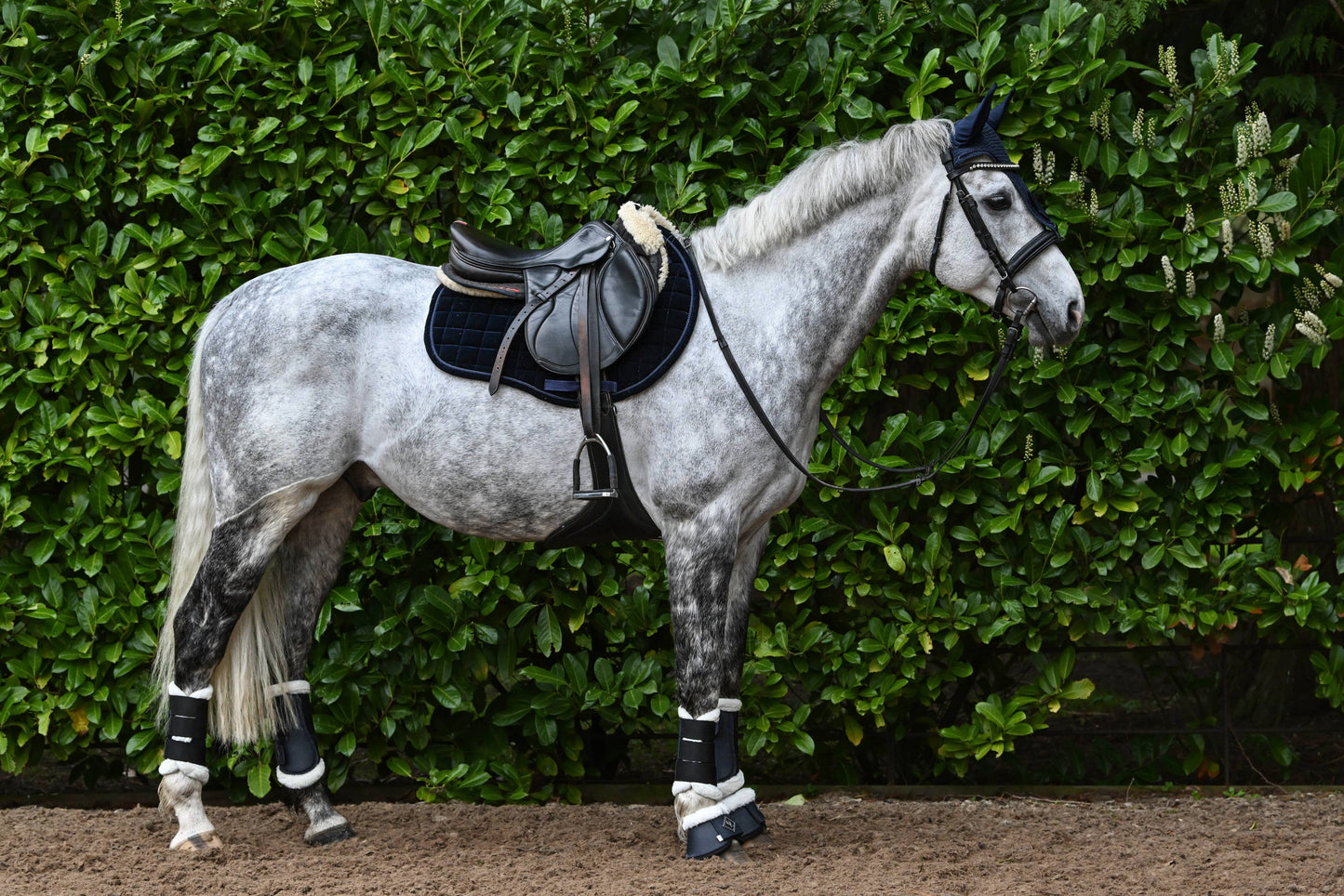 Navy Blue Velvet GP Saddle Pad