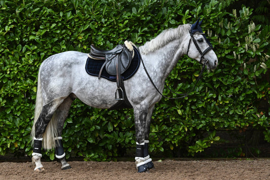 Navy Blue Velvet GP Saddle Pad
