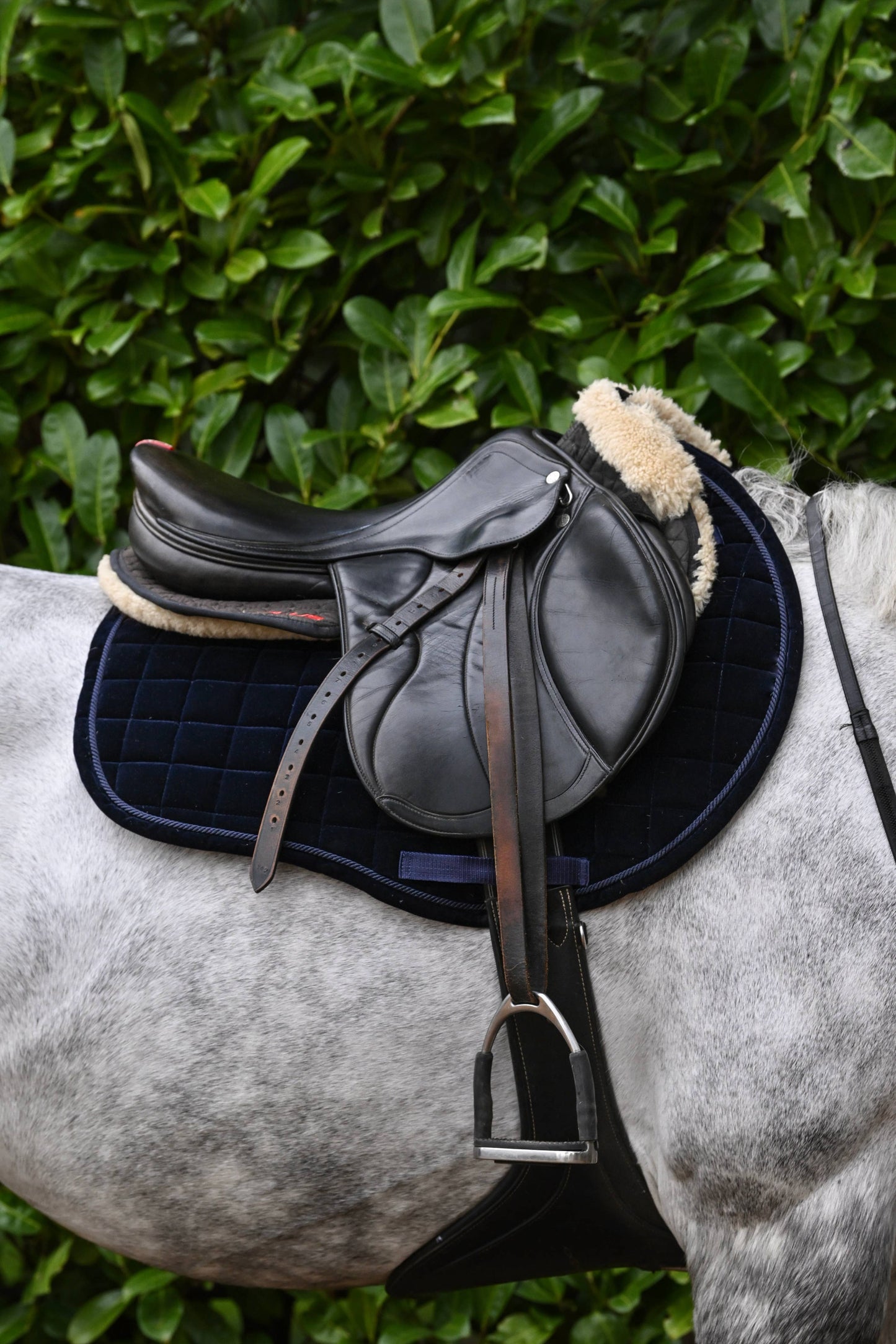 Navy Blue Velvet GP Saddle Pad